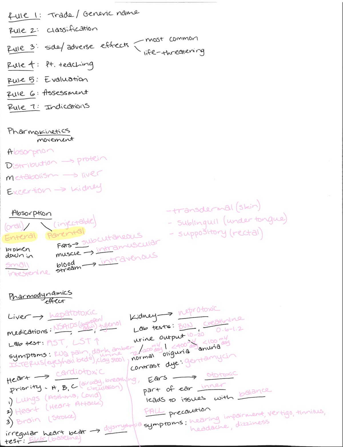 Lecture 1 Practice Answers - RDT 123 - LIU - Studocu