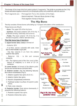 CVS, Pathol., LN - a lecture note - Haemodynamic circulatory ...