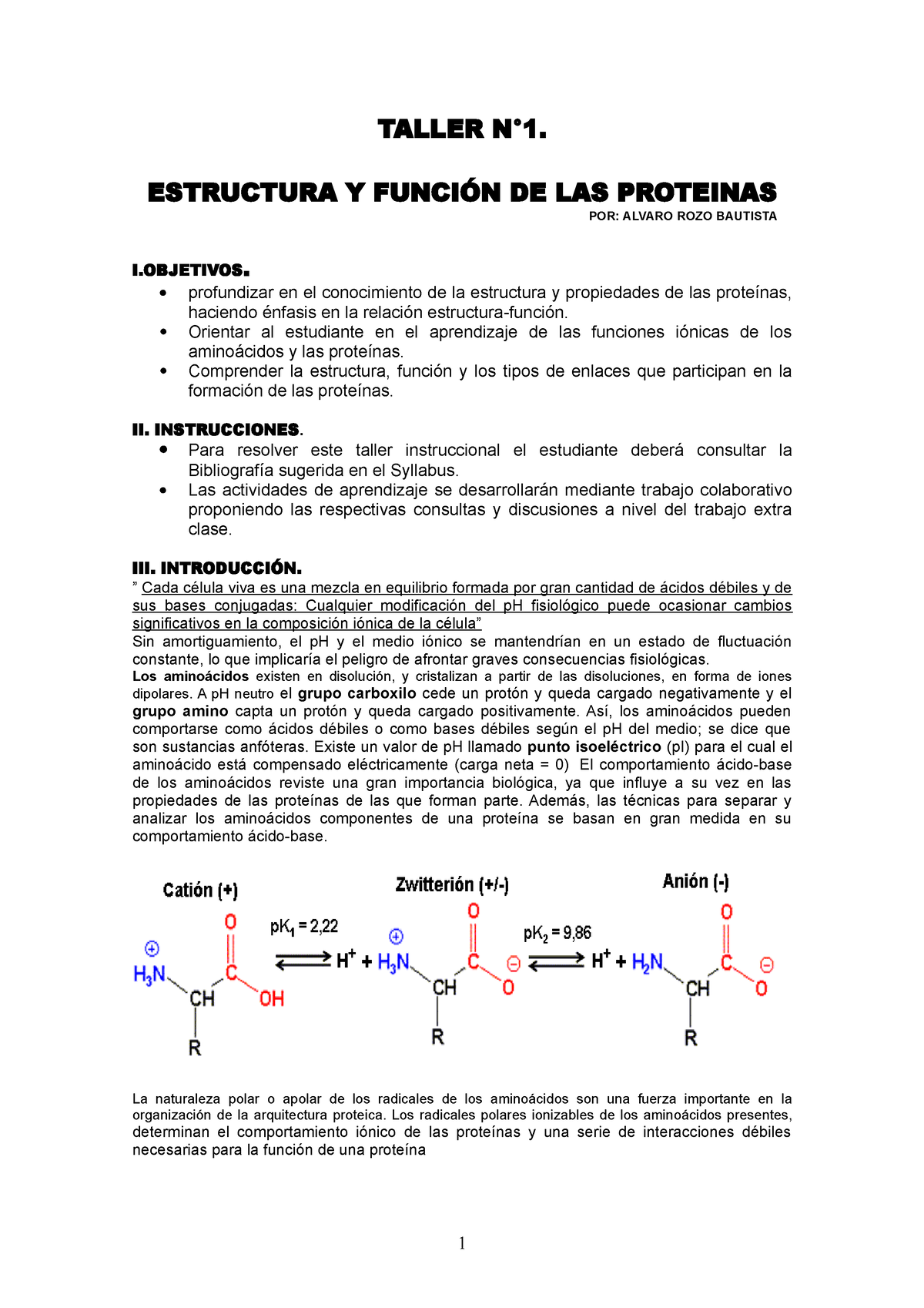 Taller Estructura Y Funcion Proteinas TALLER N ESTRUCTURA Y FUNCIÓN DE LAS PROTEINAS