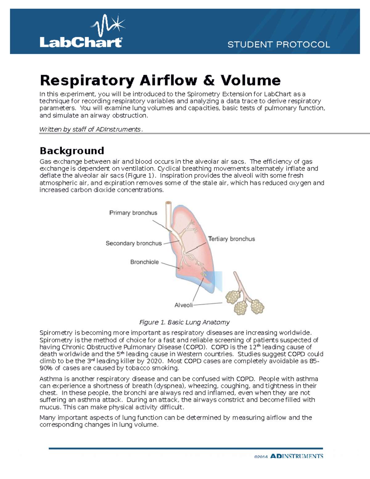 Respiratory Airflow & Volume Student Protocol - In this experiment, you ...