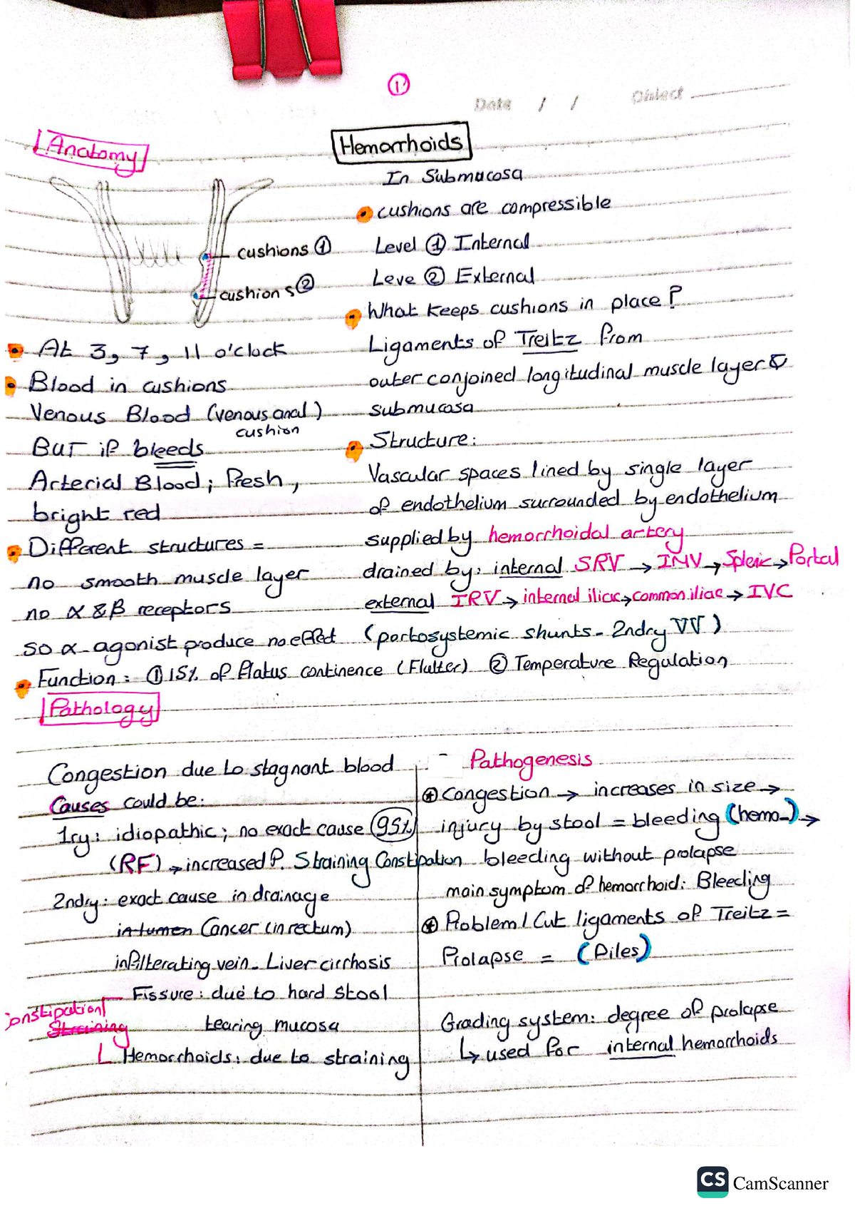 Hemorrhoids Dr Yasser - Histology - Histology & Biology - Studocu