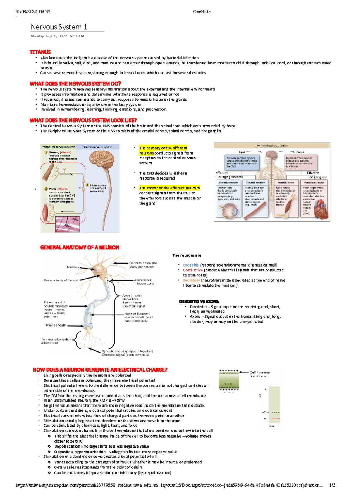 Notes - Nervous System 1 - 31/08/2022, 09:33 OneNote - Studocu