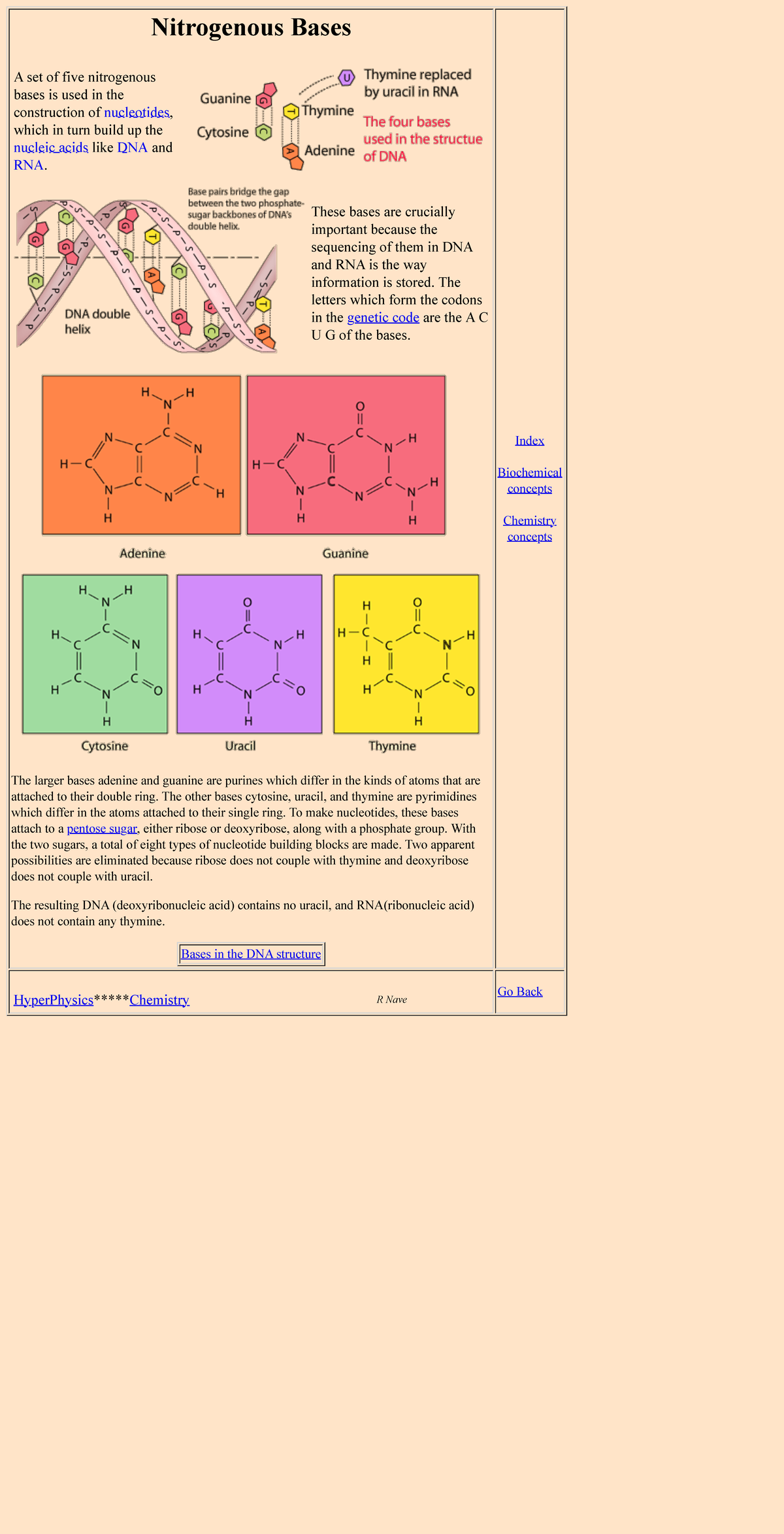 Nitrogenous Bases Kshhss Nitrogenous Bases A set of five