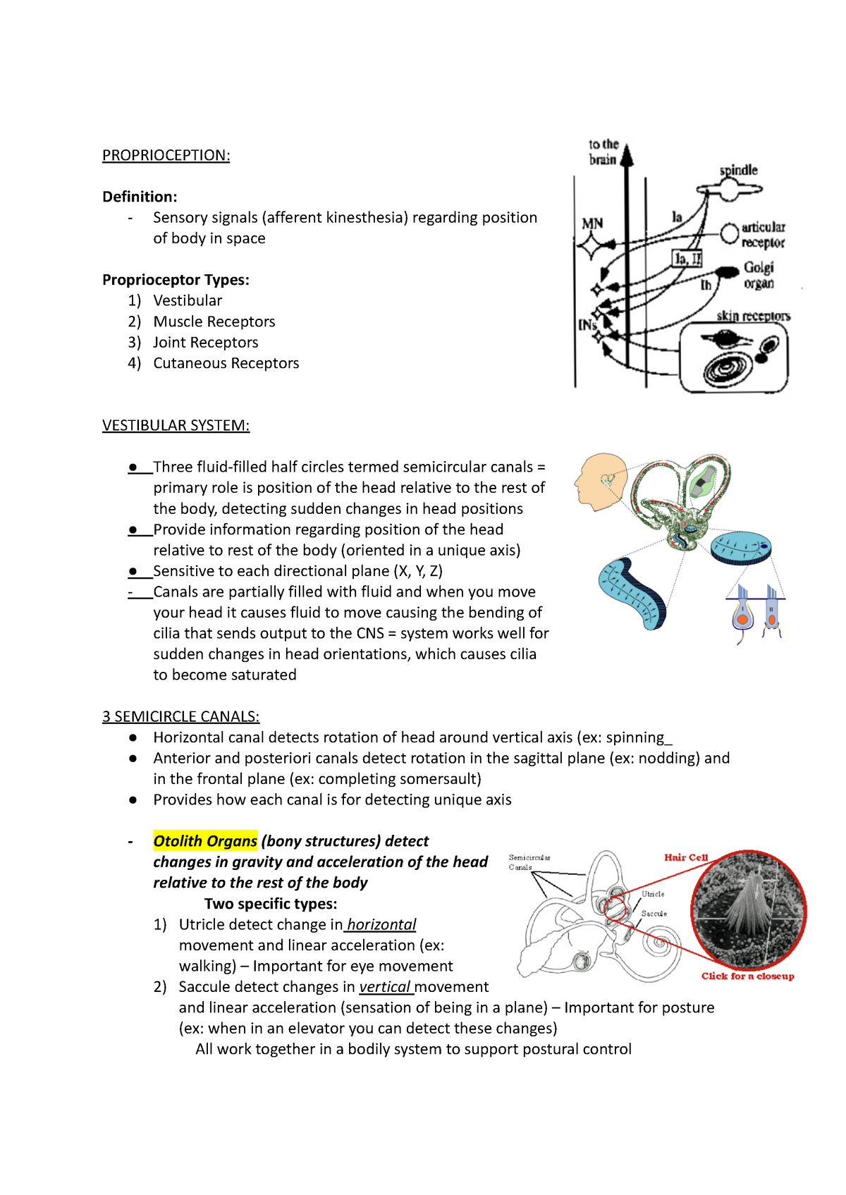 Proprioception - PROPRIOCEPTION: Definition: - Sensory Signals ...