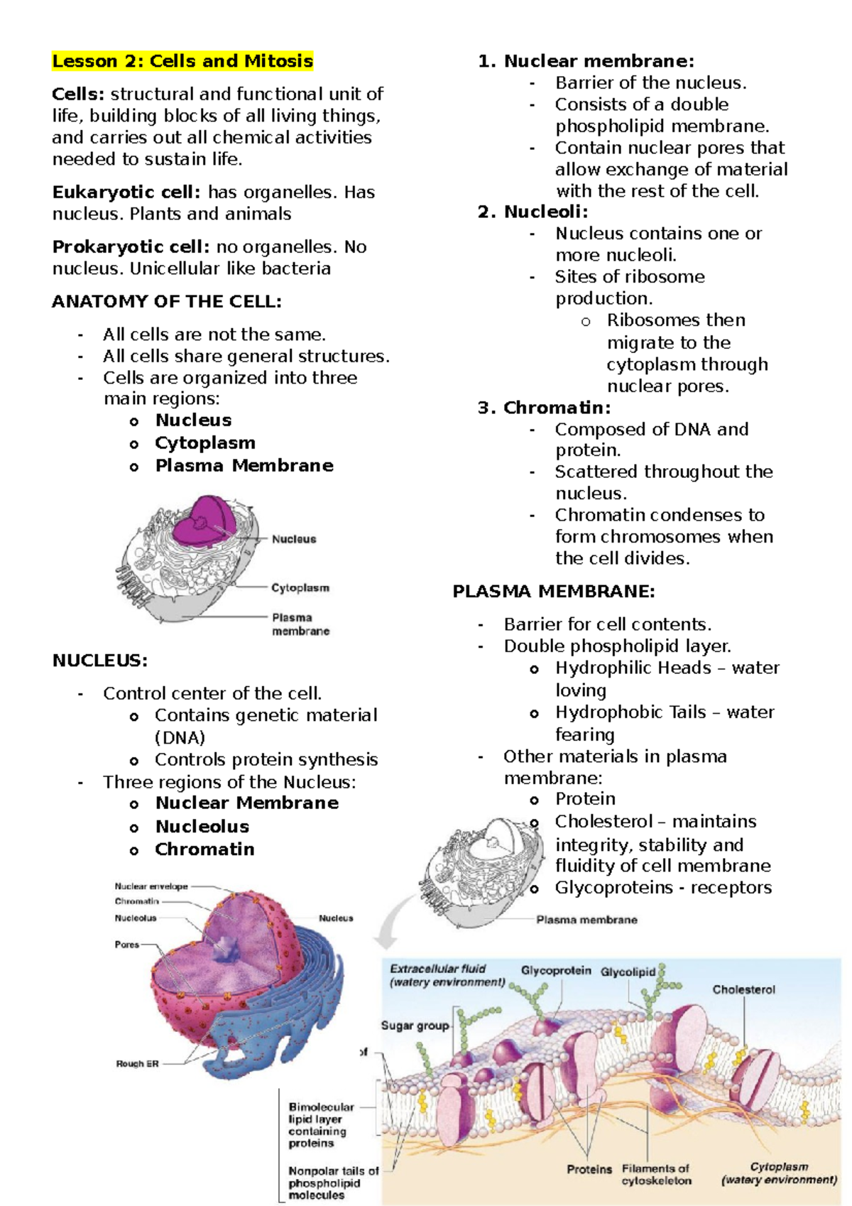 Nursing - Anatomy and Physiology - Lesson-2 - Lesson 2: Cells and ...