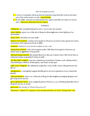 CMJ1121 Chapter 1 - notes and definitions - CMJ1121 Chapter 1 Police in ...