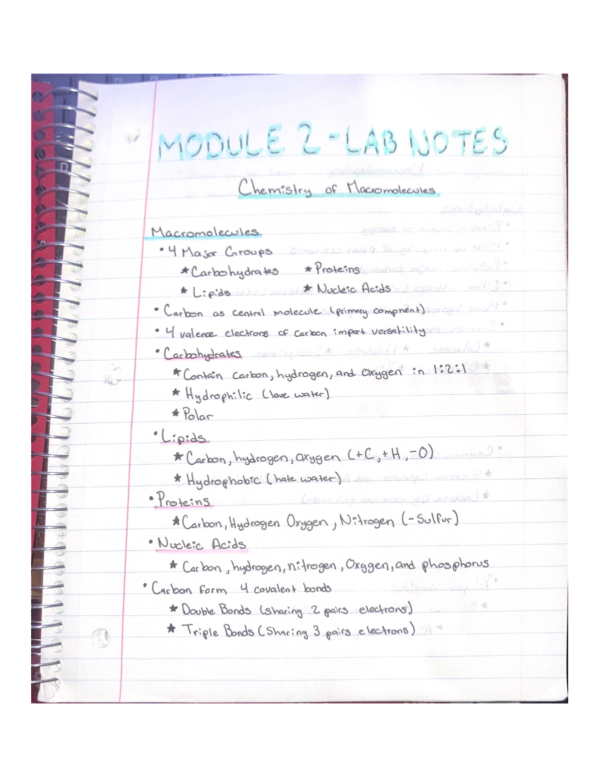 Notes - BIOL1406 - Studocu