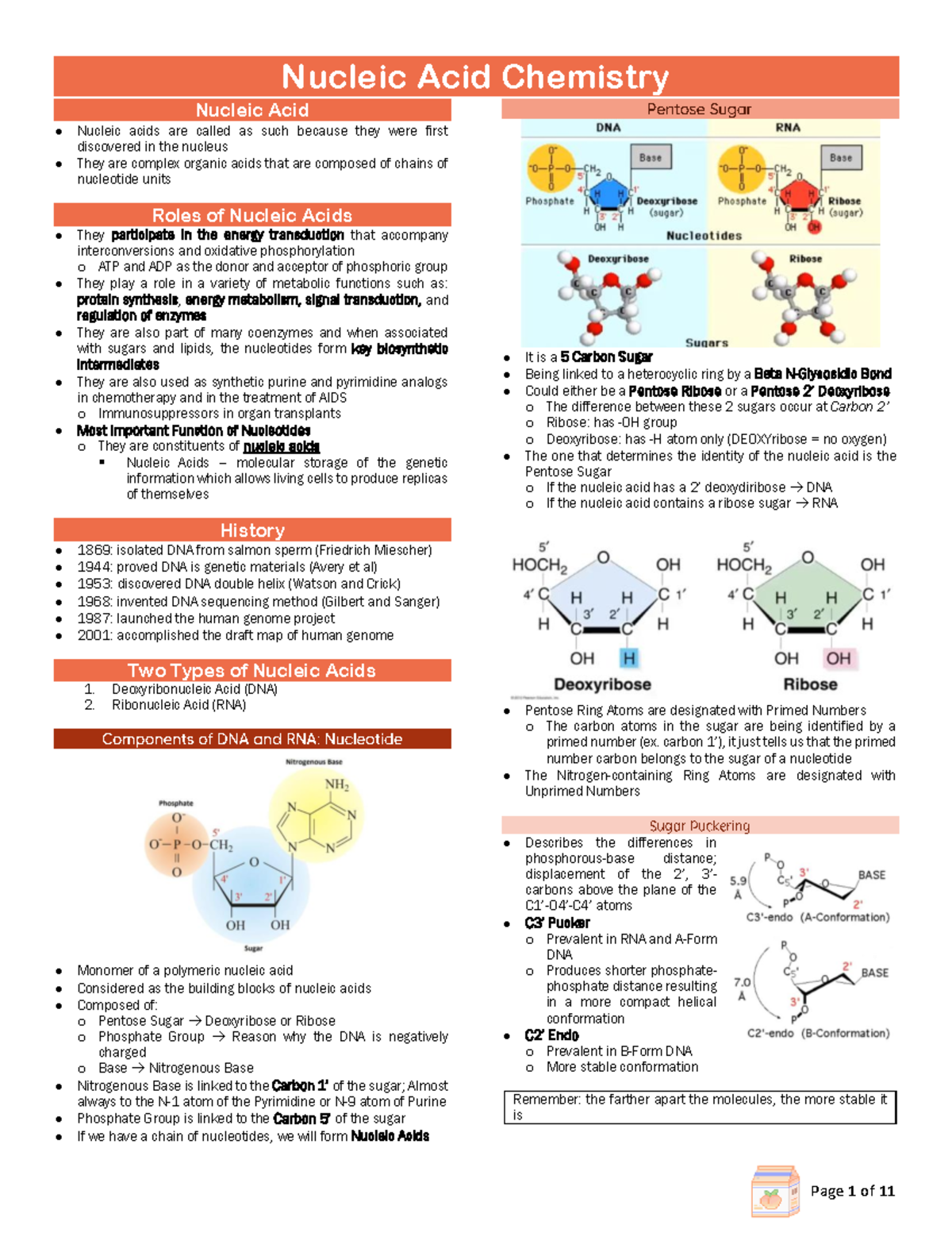 1 - notes - Nucleic Acid Chemistry Nucleic Acid Nucleic acids are ...