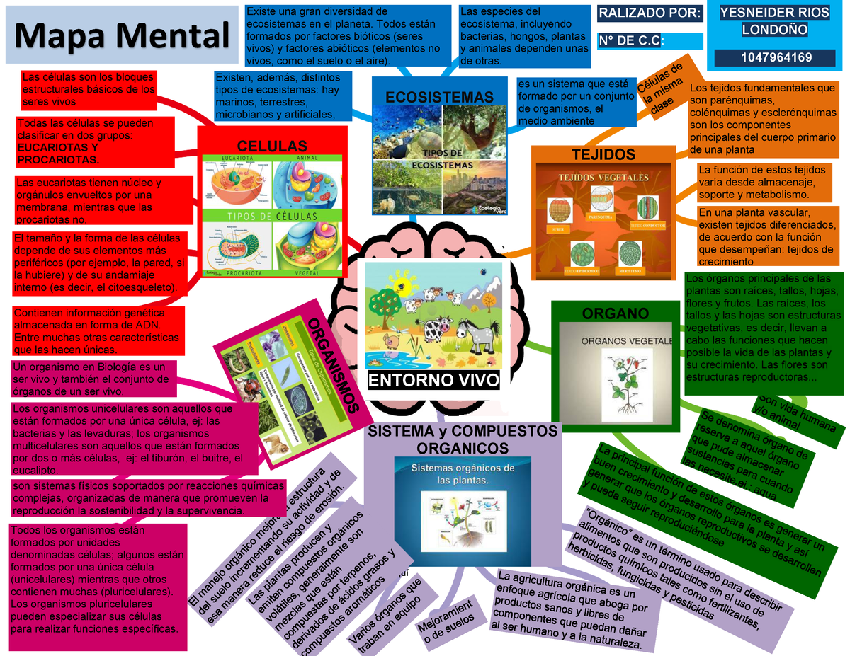 Mapa Mental Con Los Conceptos Básicos Del Entorno Vivo Ga1 2202015 01