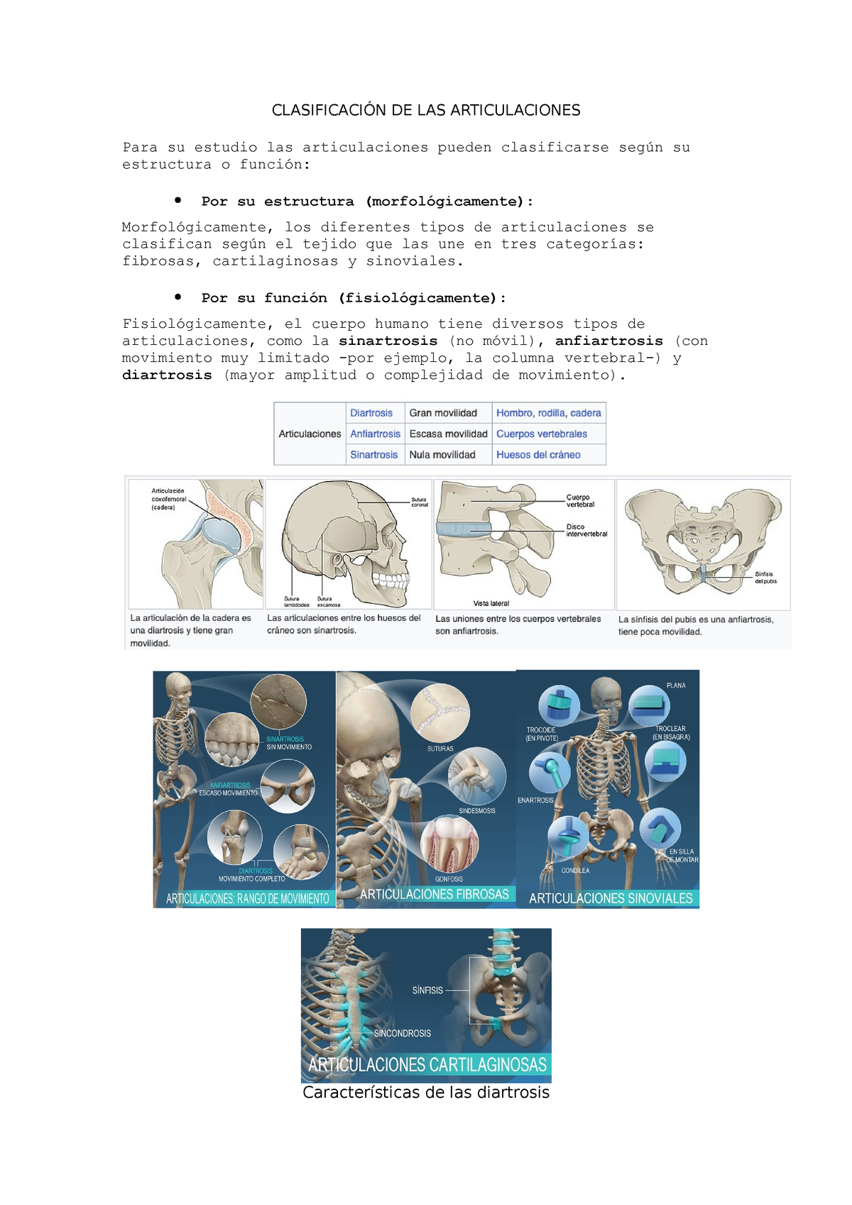 LAS Articulaciones - CLASIFICACIÓN DE LAS ARTICULACIONES Para Su ...