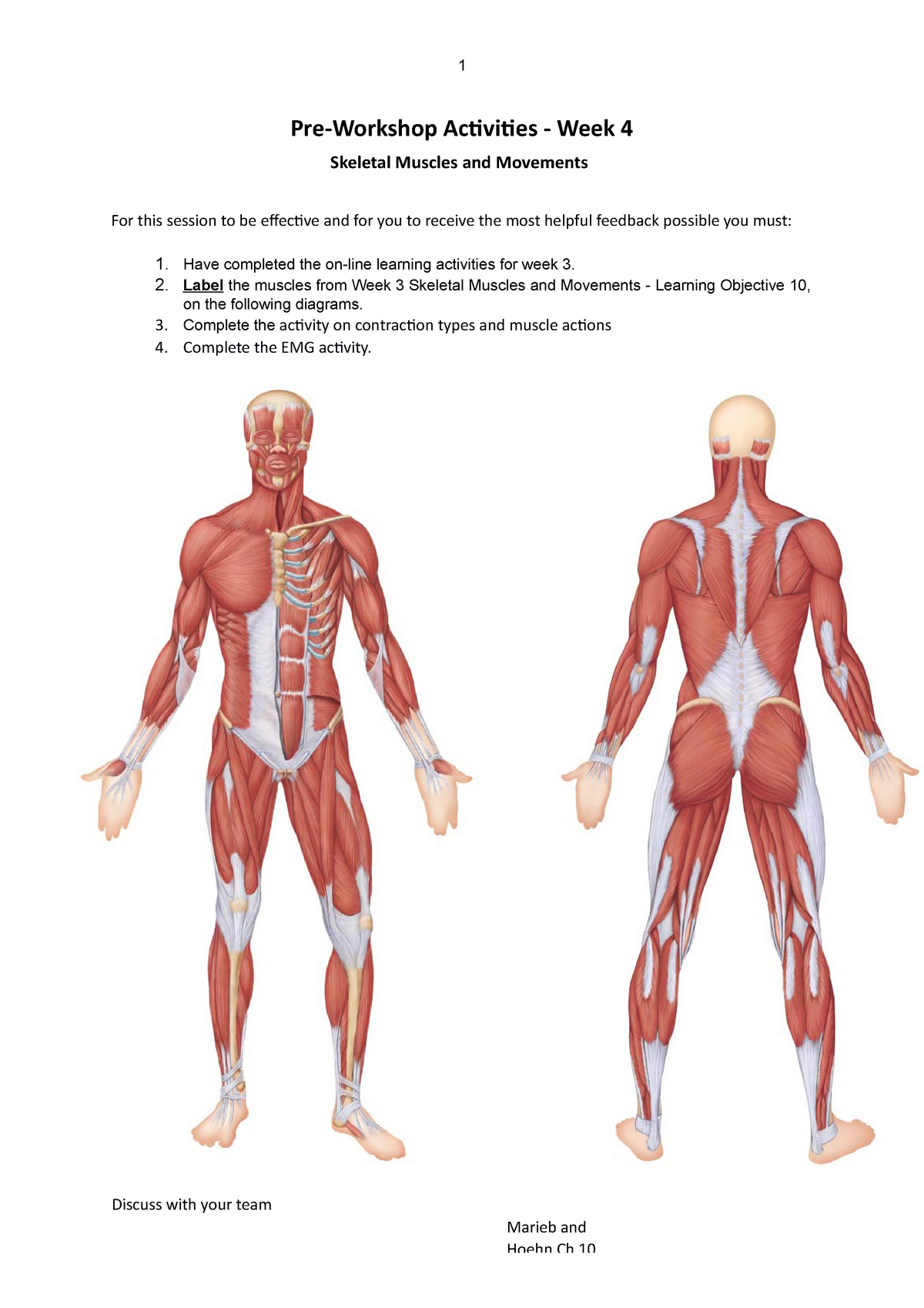 pre-workshop-4-completed-pre-workshop-activity-answers-for-hbb-pre