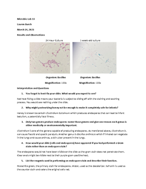 Lab Report 17 Mac Conkey Agar - Microbio Lab 17 March 28, 2023 ...