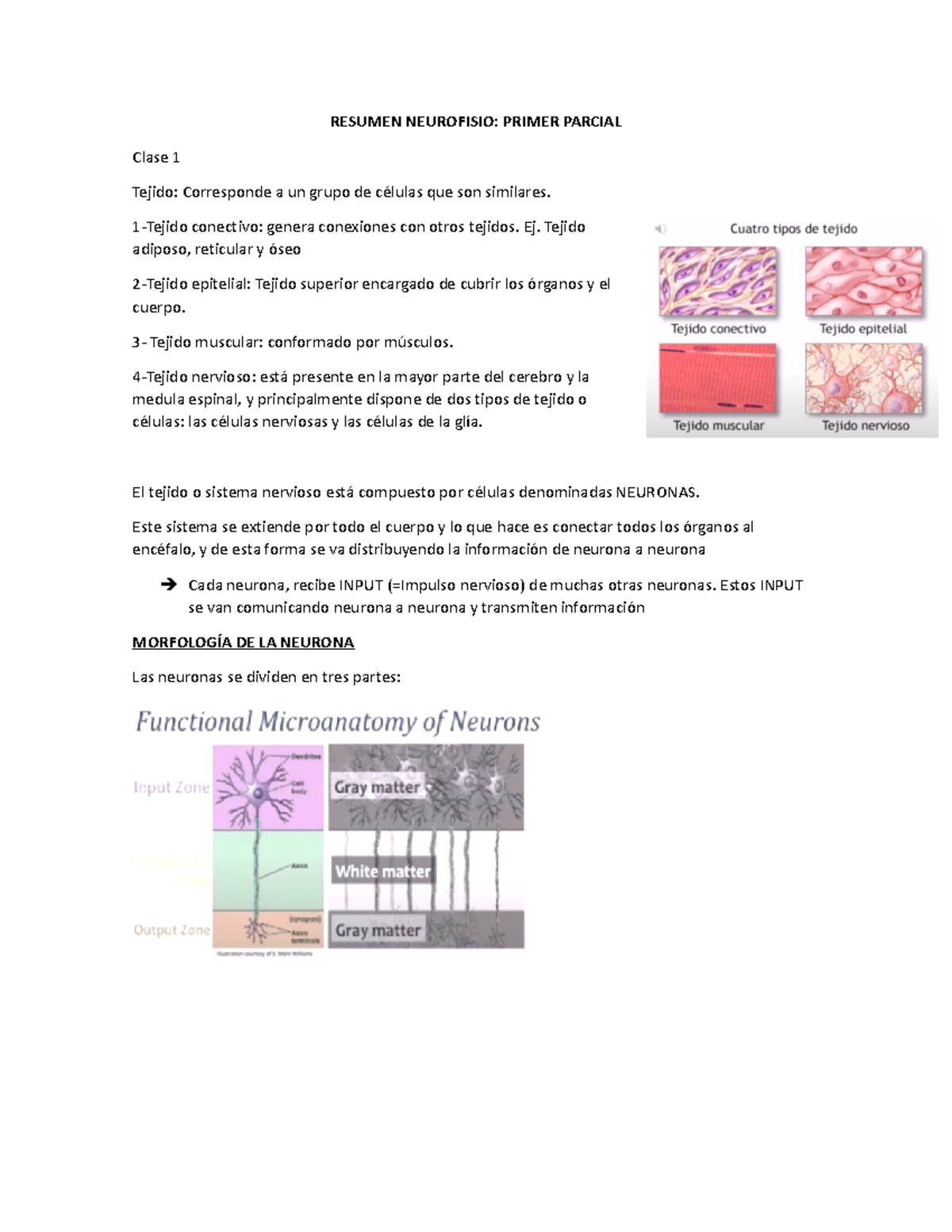 Resumen Neurofisio - RESUMEN NEUROFISIO: PRIMER PARCIAL Clase 1 Tejido ...