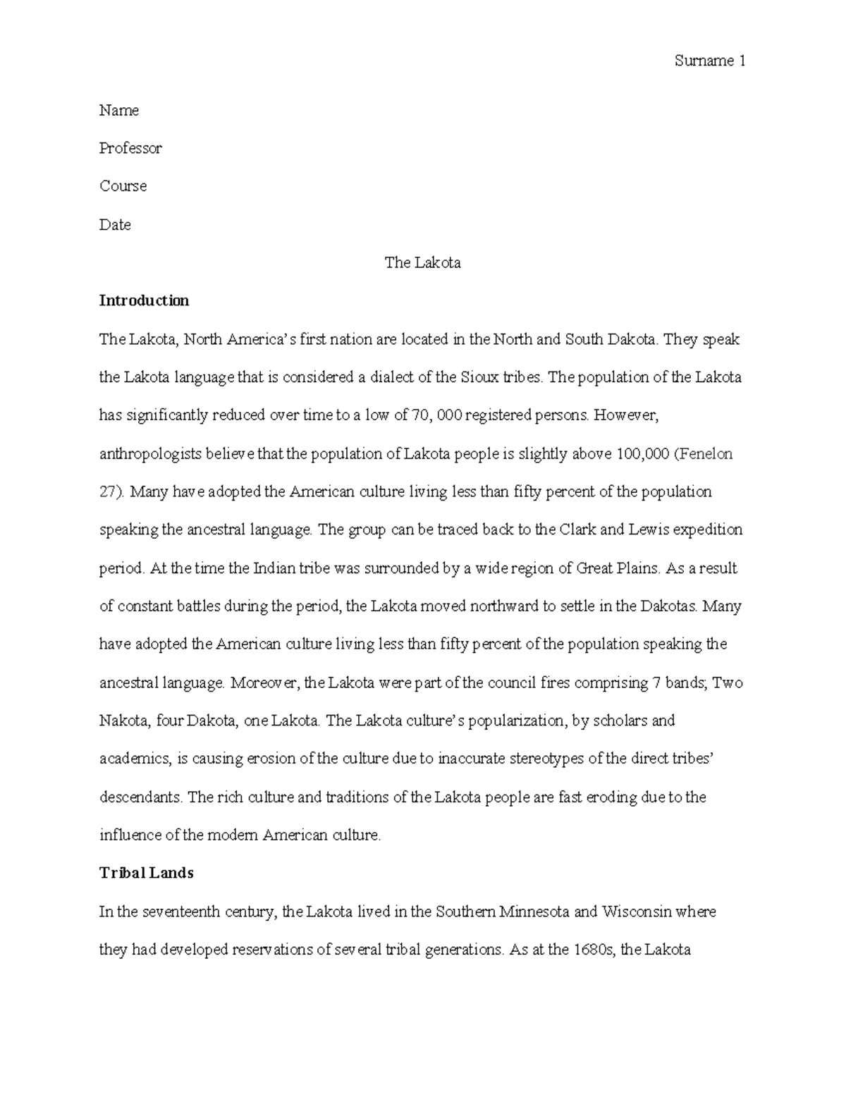 244587049 Economics Name Professor Course Date The Lakota