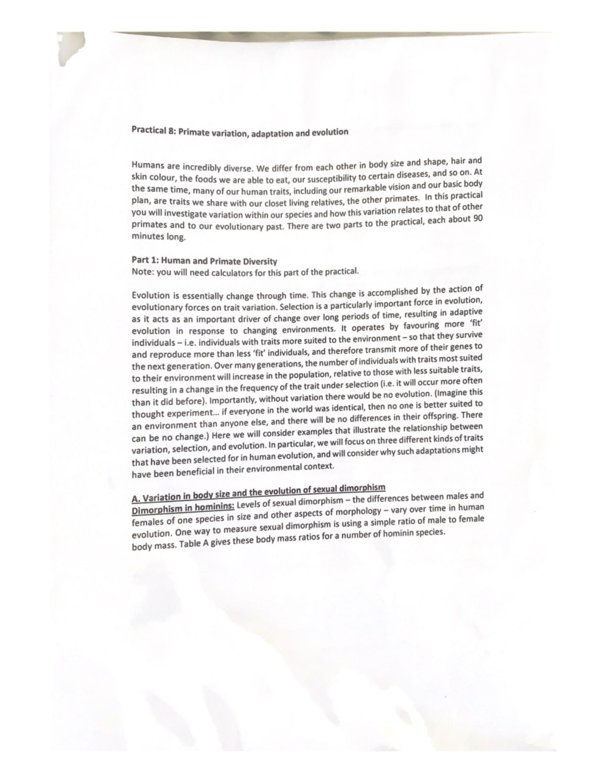 Bio Practical 8 Primate variation, adaptation and evolution - We differ ...