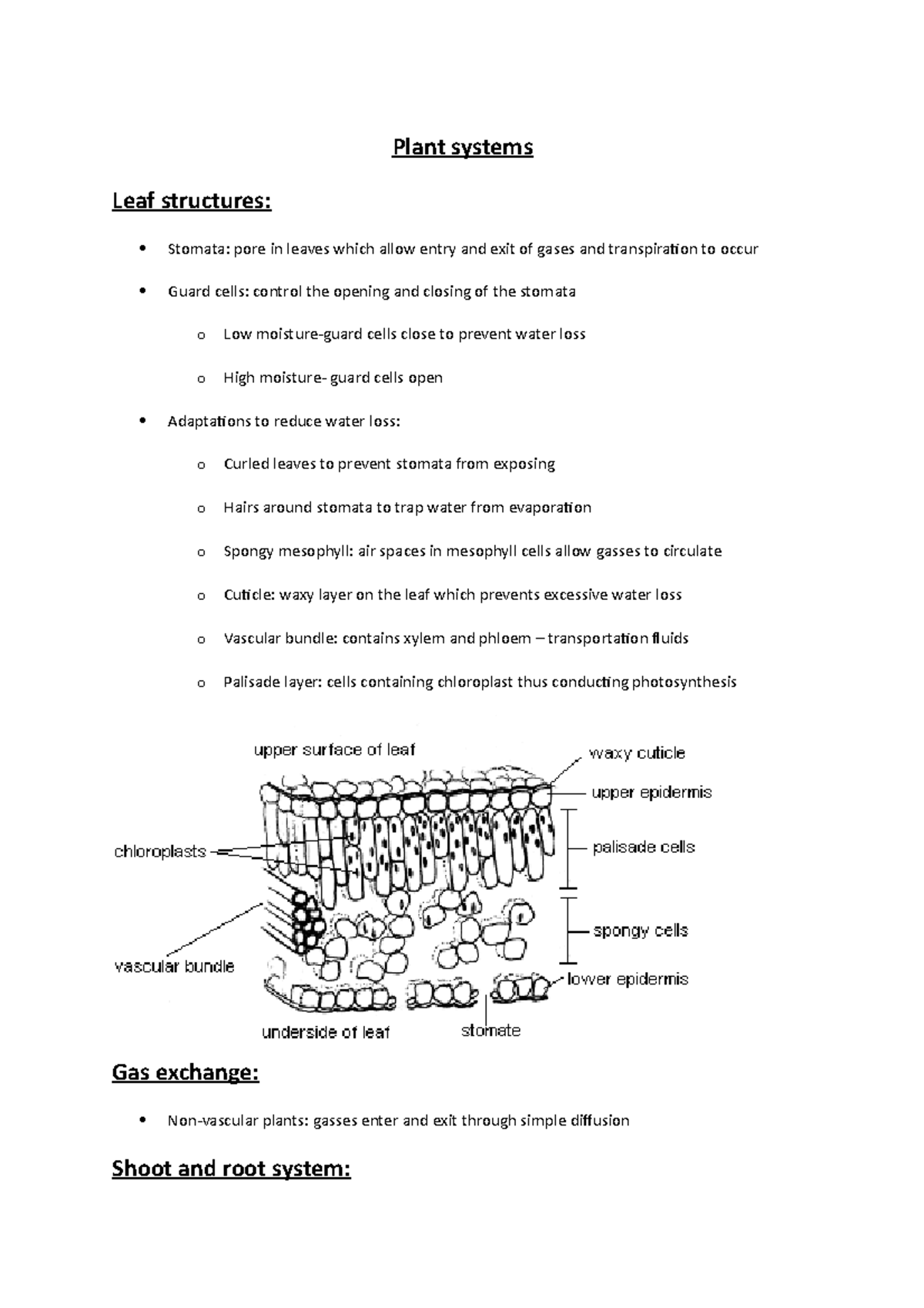 Plant water Lecture notes Plant systems Leaf structures Stomata