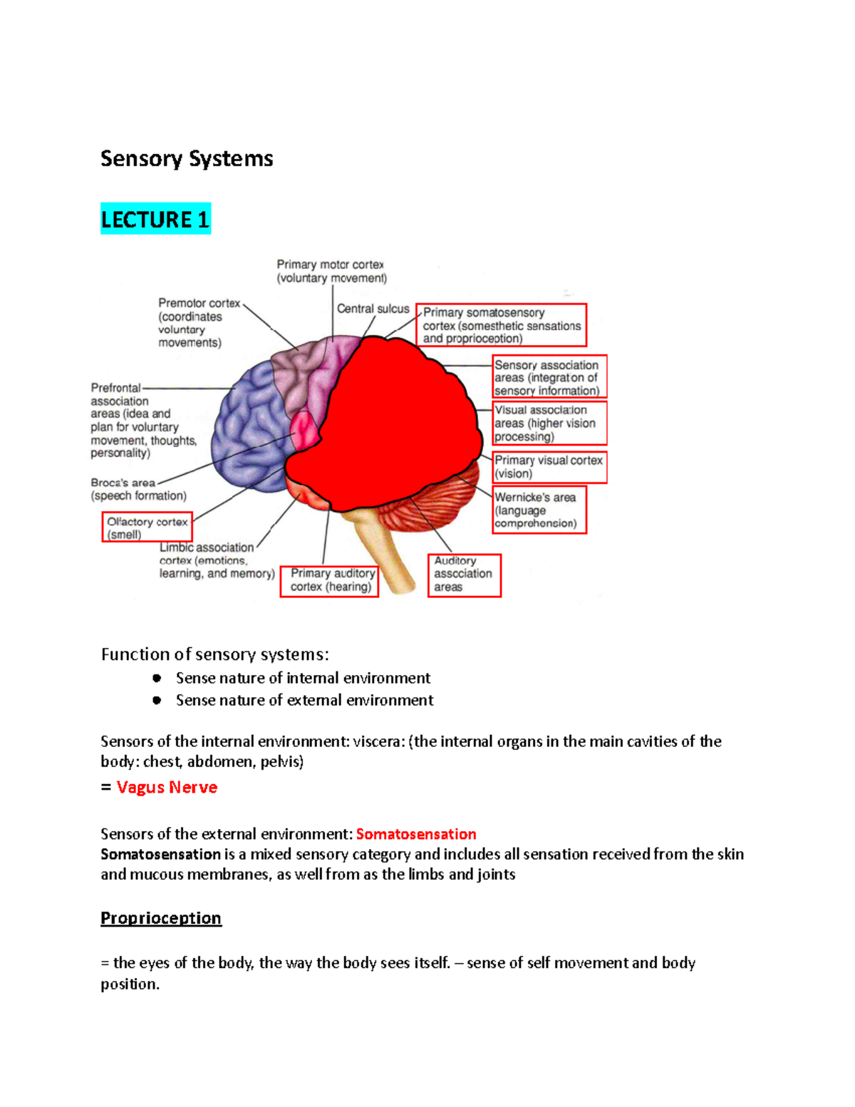 Sensory Systems Lecture 1 - Sensory Systems LECTURE 1 Function Of ...