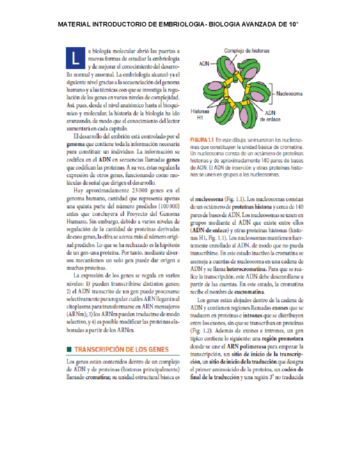 Material+ Introductorio+A+ Embriología+10° - Biología Molecular - G ...