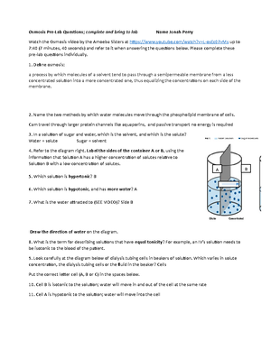 Lab 1 Muscle Fatigue Complete - BIOL 1124, Lab 1: Applying Scientific ...