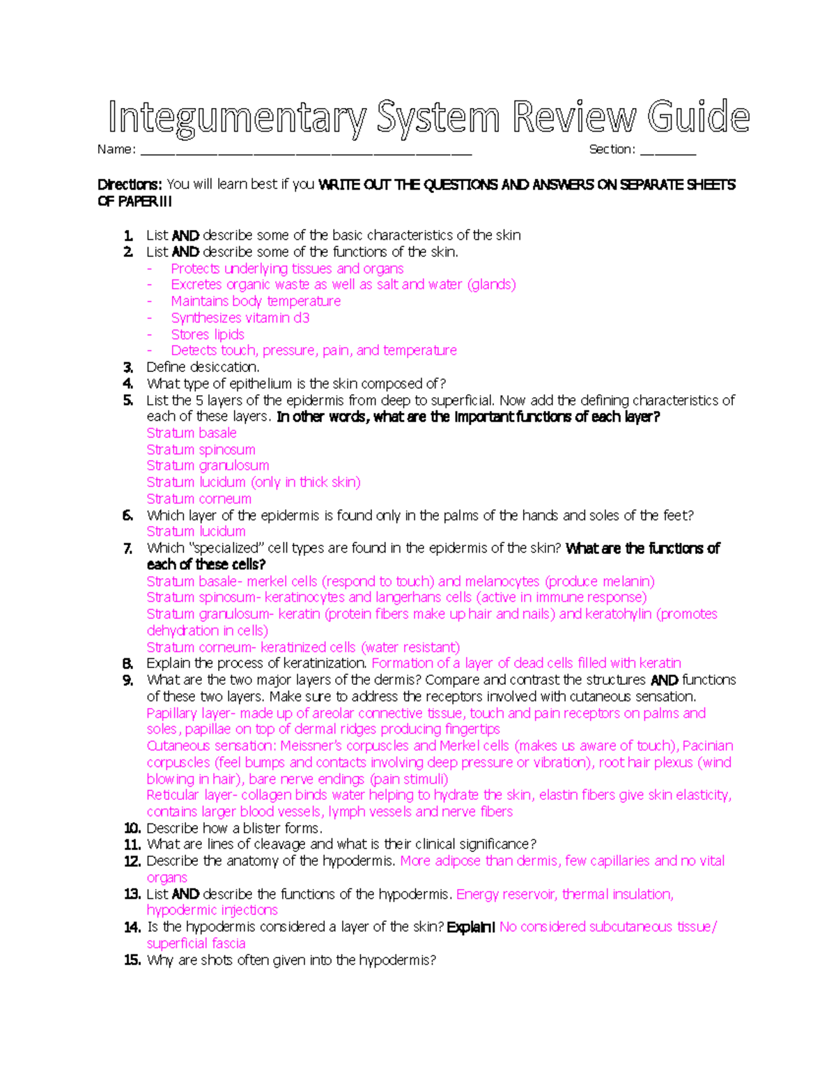 Integumentary System Review Guide Name Integumentary System Review Guide Name