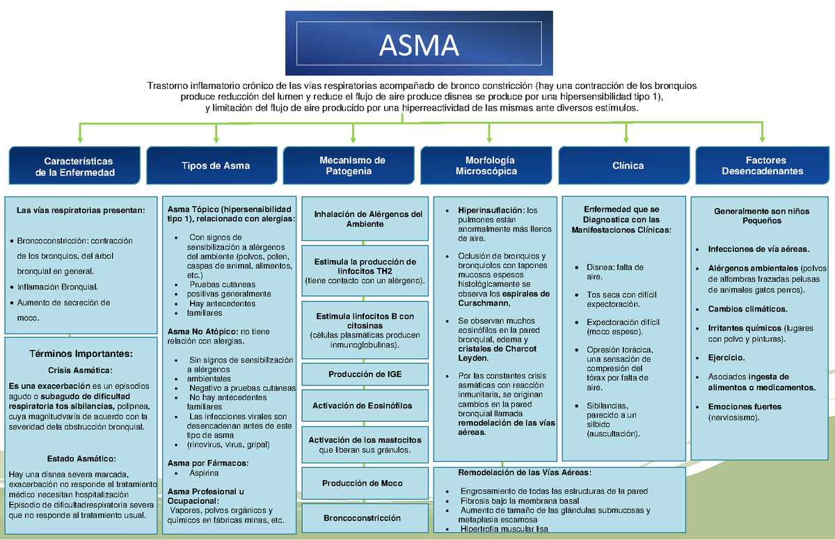 Arriba 101 Imagen Mapa Mental Sobre El Asma Abzlocalmx 6712