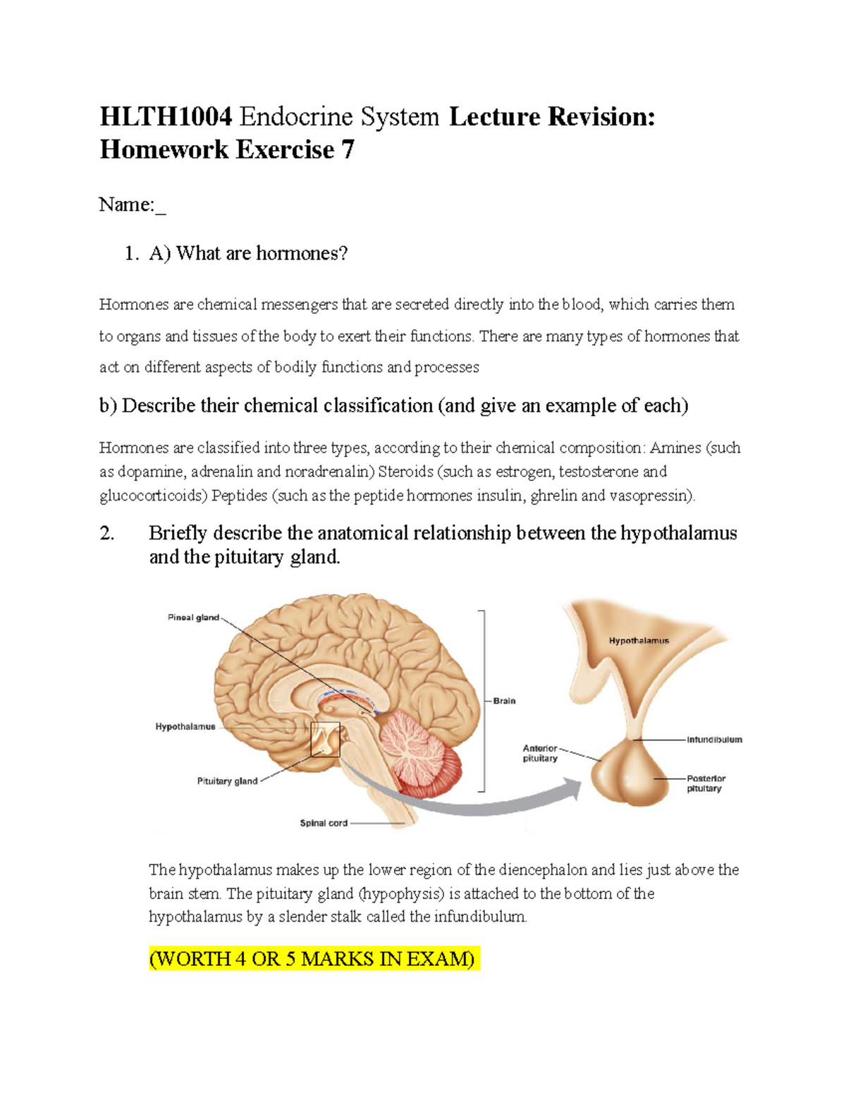 Chapter 9 endocrine system worksheet answer key picture