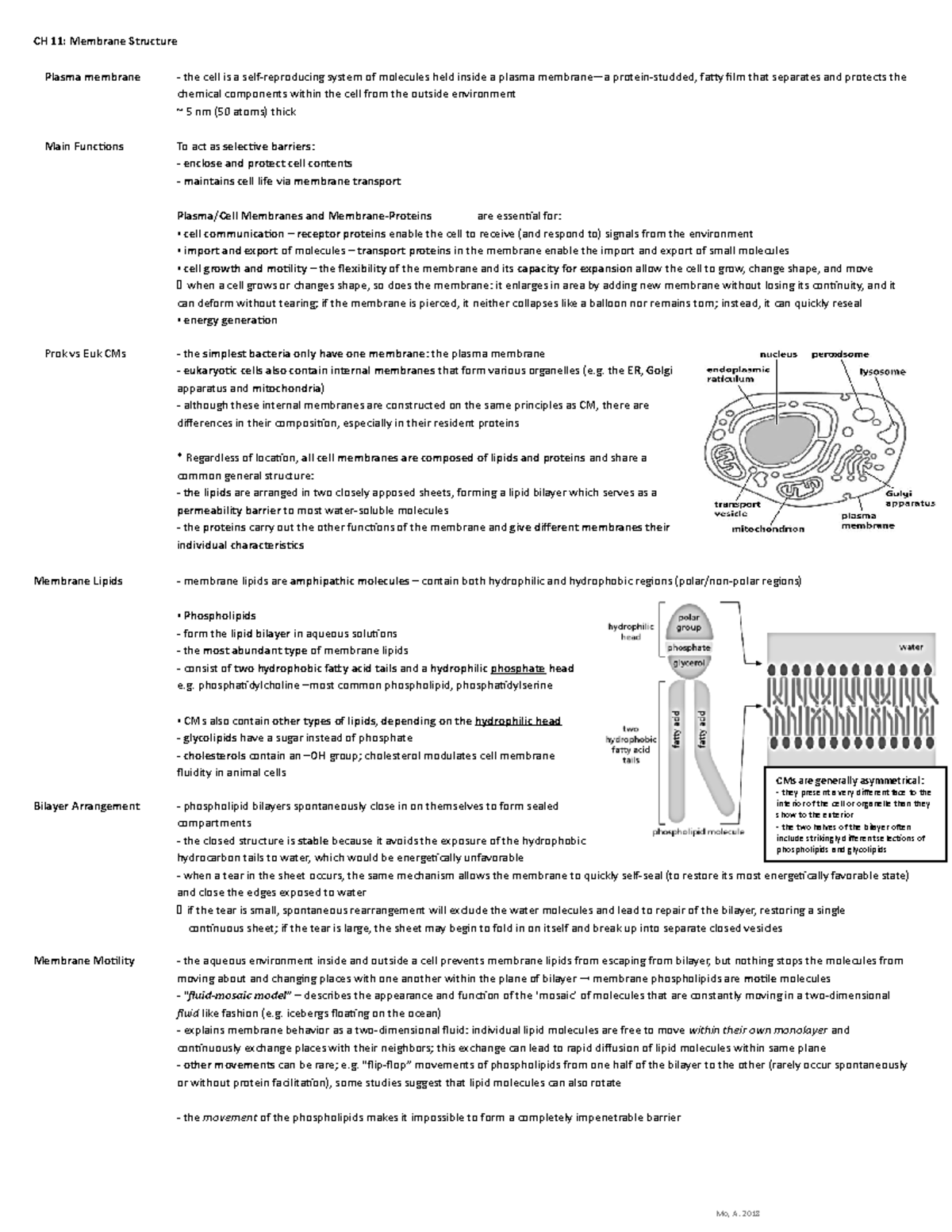 Lec 4 - Membrane Structure & Membrane Transport (Ch 11, 12) - CH 11 ...