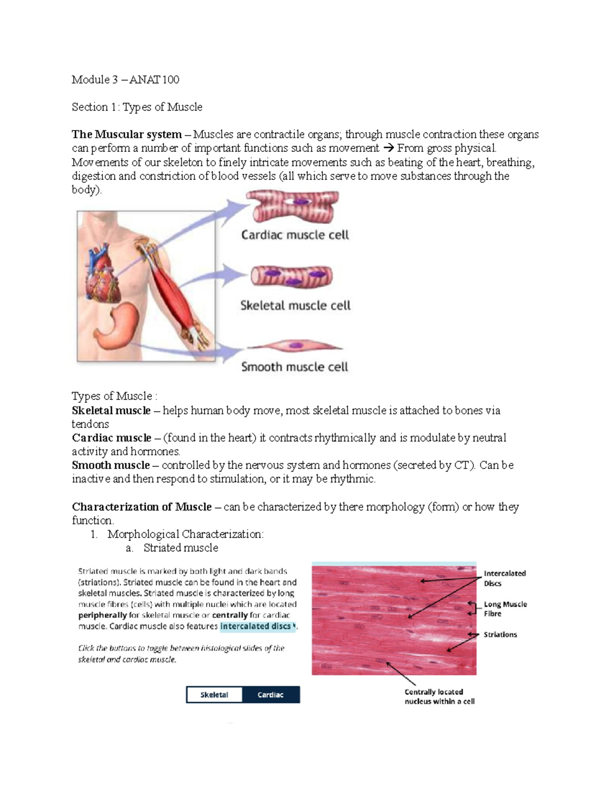 Module 3-ANAT100 - Basics of muscular tissue, axial muscles - Module 3 ...