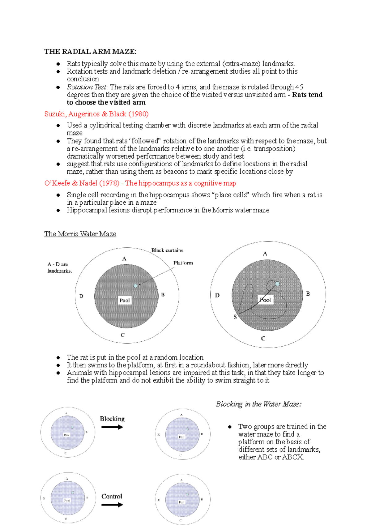 THE Radial ARM MAZE - THE RADIAL ARM MAZE: Rats typically solve this ...
