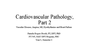 Respiratory 3 - Pamela Bosch - The Respiratory System Part 3 ...