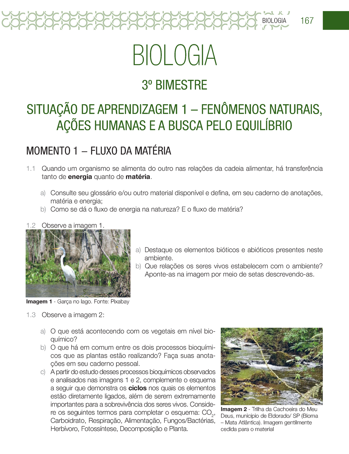 Aula 6 - Ações mitigatórias da interferência humana nos ciclos  biogeoquímicos - Biologia