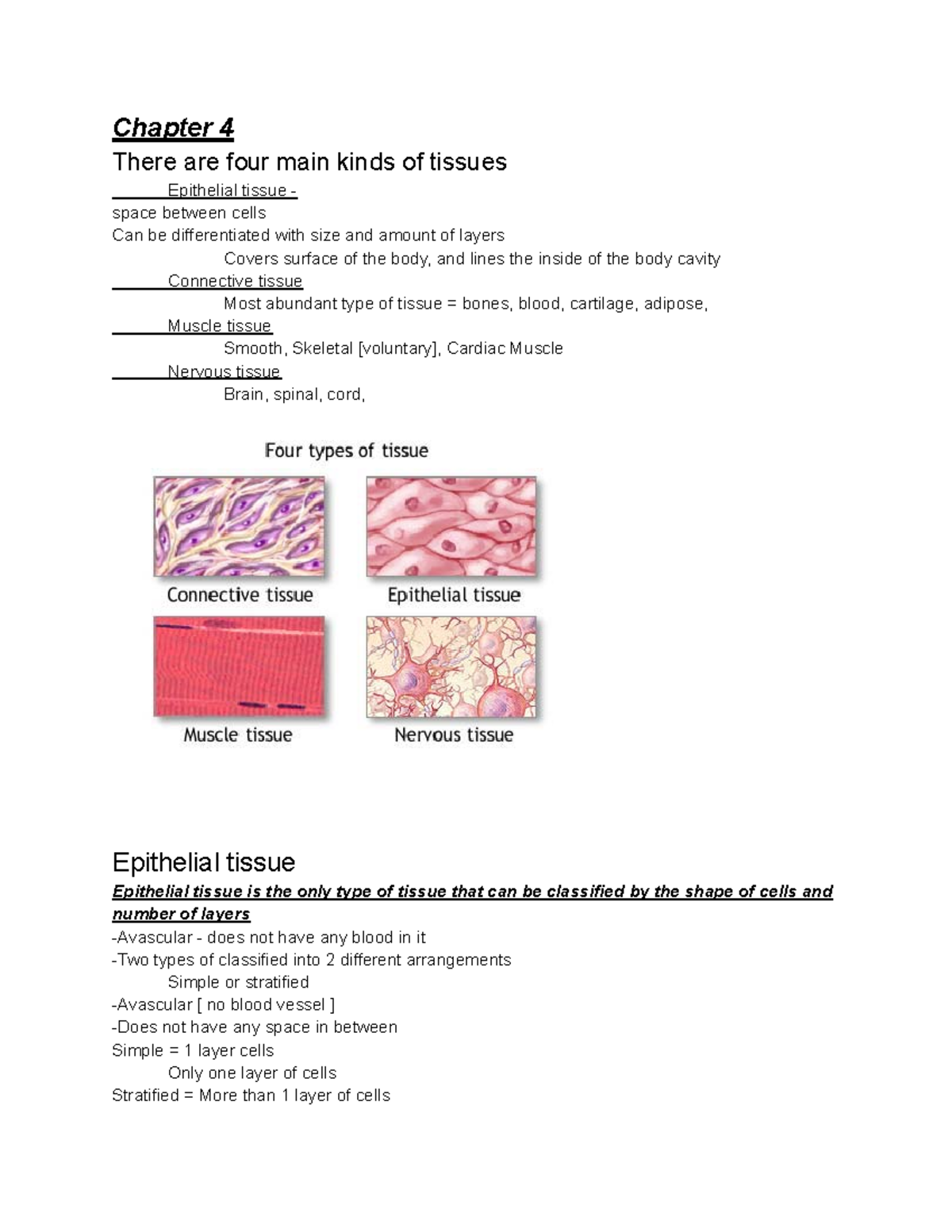 CHP 4,5 Anatomy - Study Notes - Chapter 4 There Are Four Main Kinds Of ...