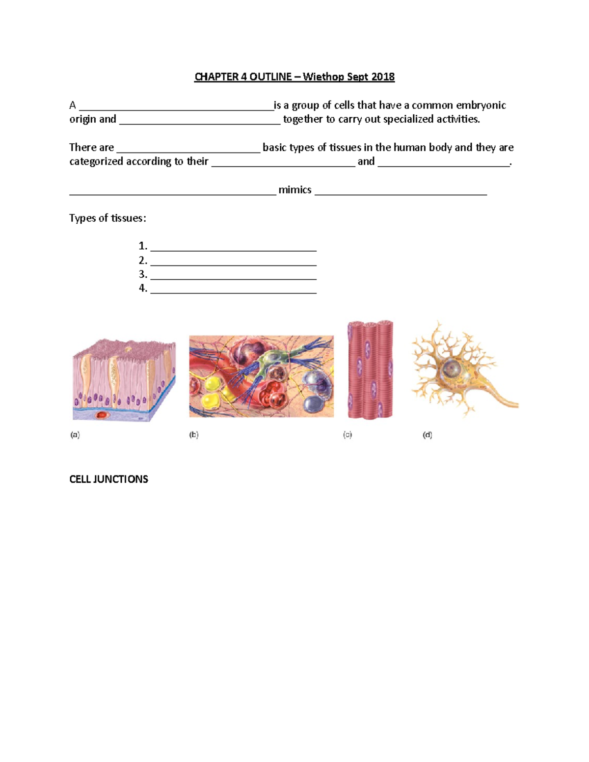 BIOS251 - Chapter 4 Outline - CHAPTER 4 OUTLINE – Wiethop Sept 2018 A ...