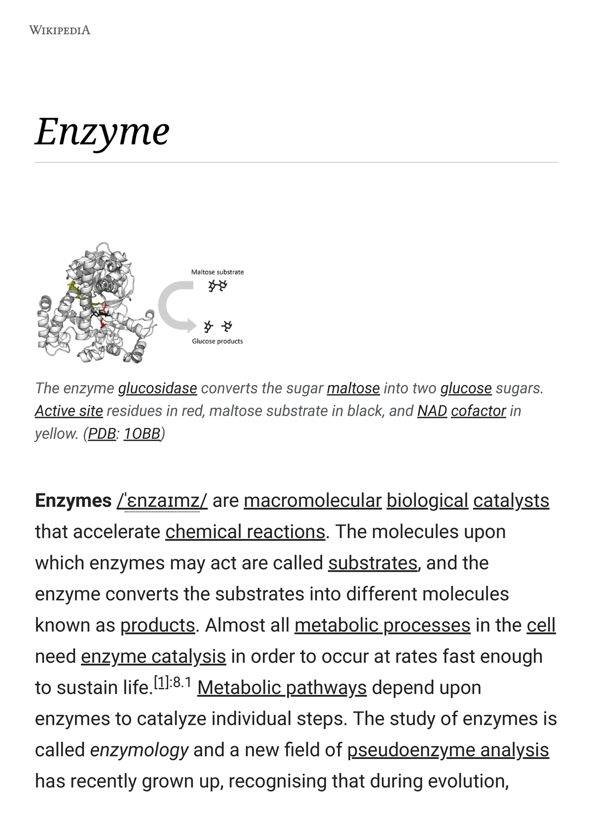 Enzyme Wikipedia Enzyme Enzymes /ˈɛnzaɪmz/ are macromolecular