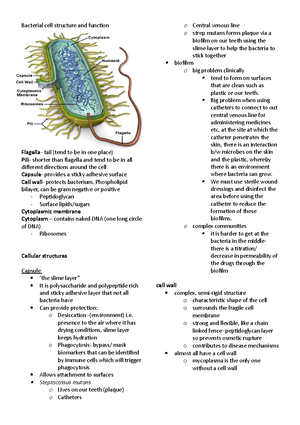 [Solved] Name and describe the steps of the bacteriophage infection ...