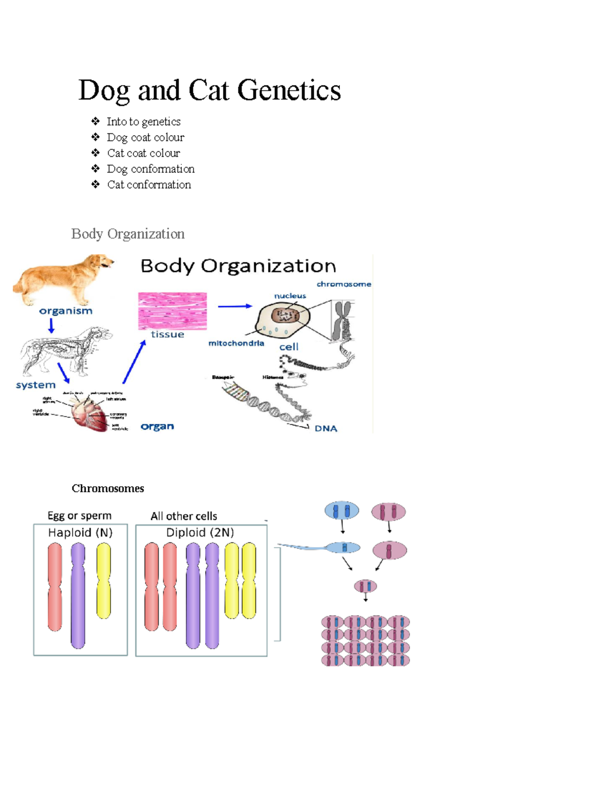 Companion Animal Genetics (full Module) - Dog And Cat Genetics Into To ...