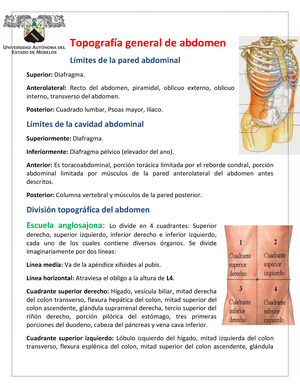 DIVISIÓN TOPOGRÁFICA DE ABDOMEN.avi 