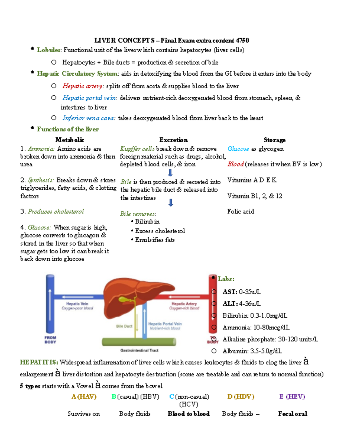 Liver SG (last week of material) 15 questions on final - LIVER CONCEPTS ...