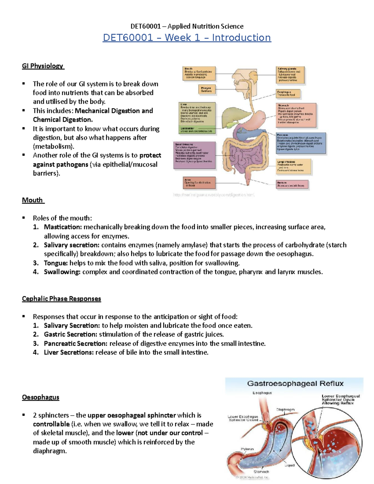 DET60001 - Week 1 Notes - Fat Soluble Vitamins - DET60001 – Week 1 ...