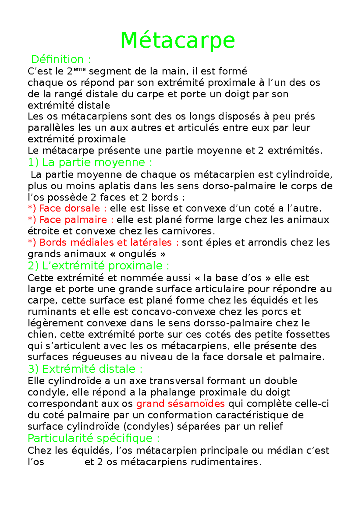 Métacarpe Biologie Métacarpe Définition C’est le 2eme segment de