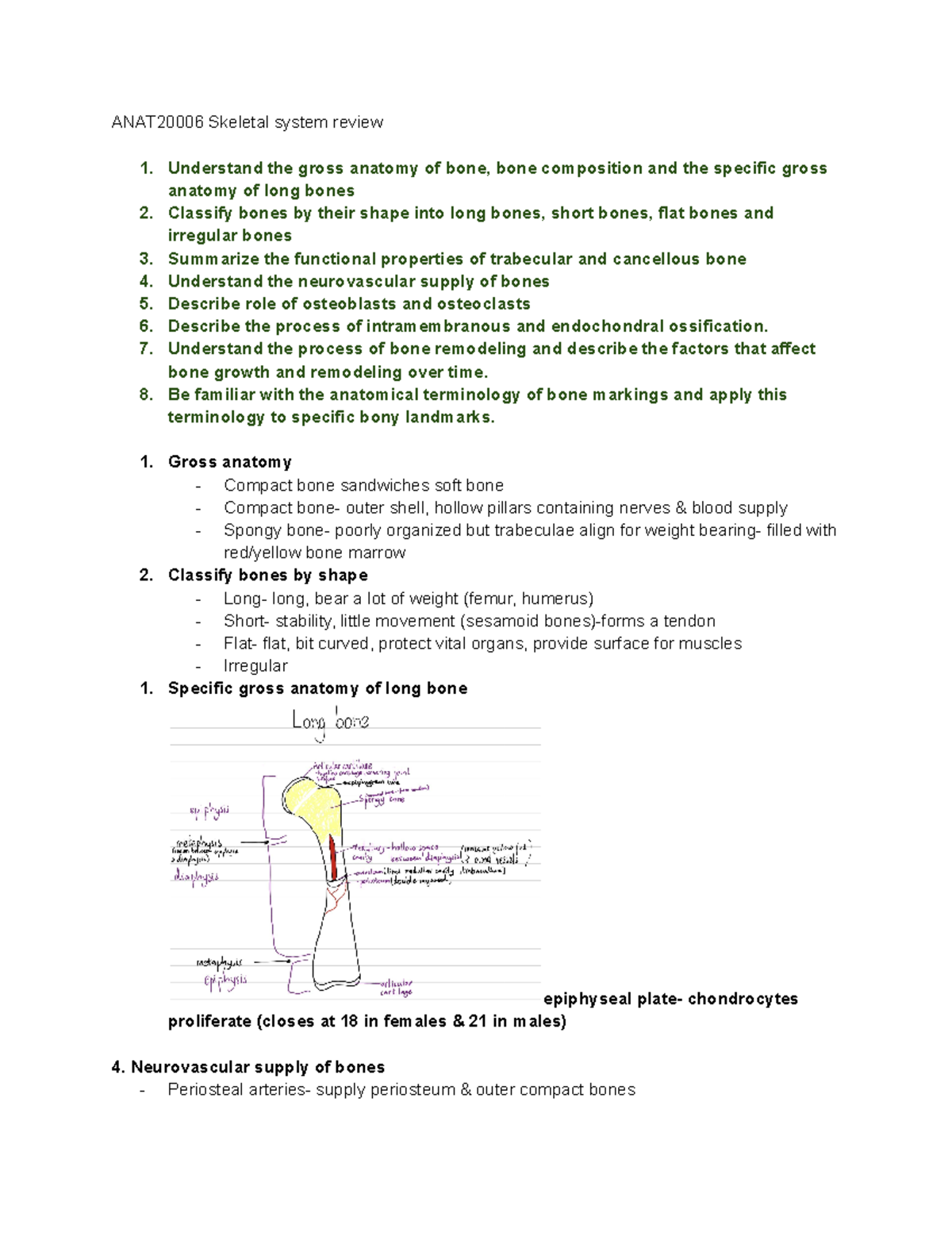 Skeletal system - Understand the process of bone remodeling and ...