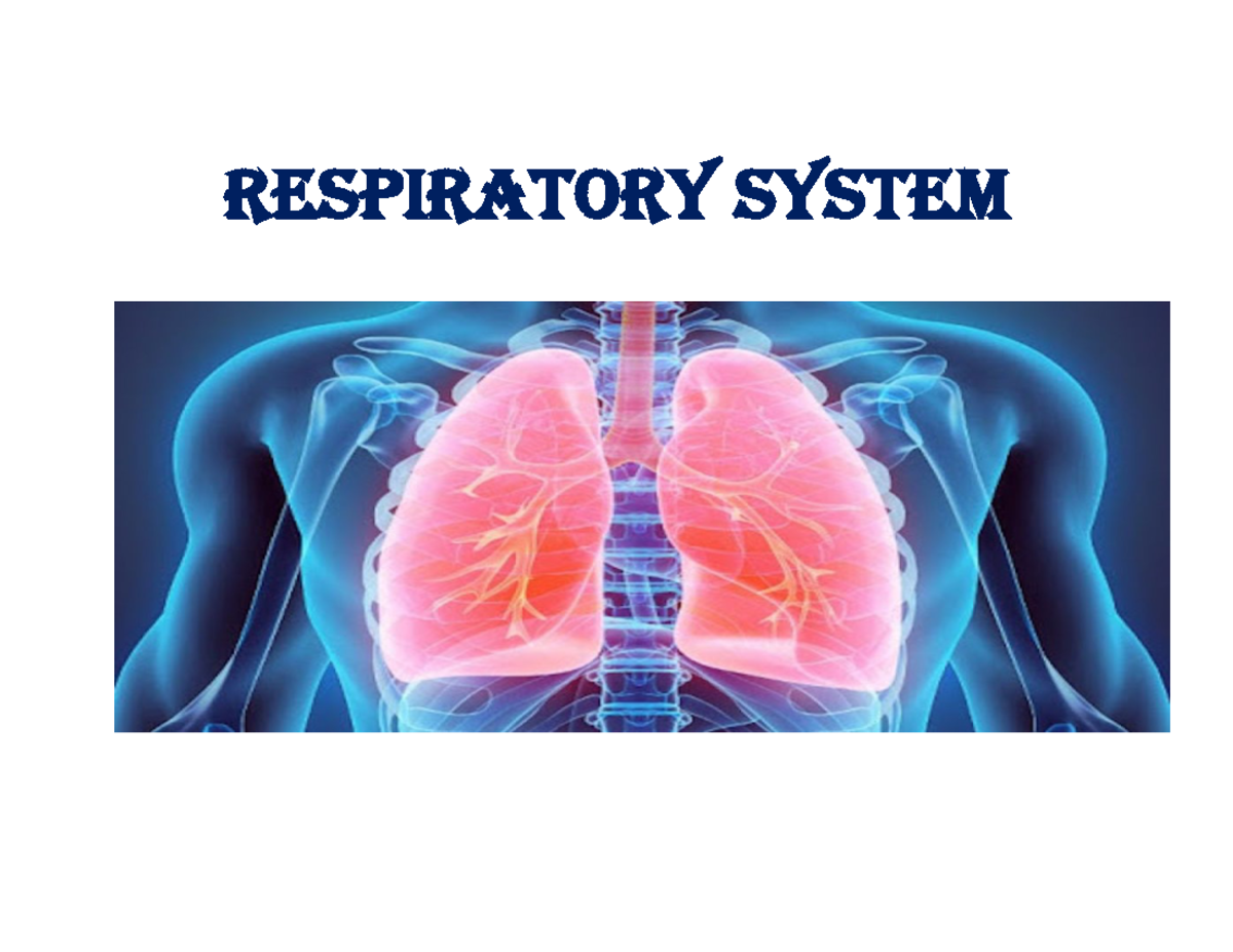 Drugs acting on Respiratory System - RESPIRATORY SYSTEM Bronchial ...