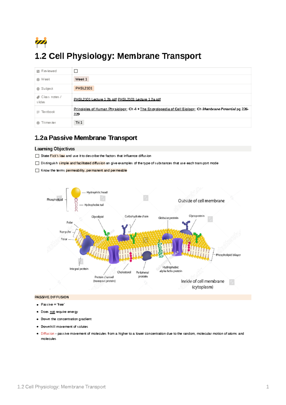 1.2 Cell Physiology - Meembrane transport - 🚧 1 Cell Physiology ...