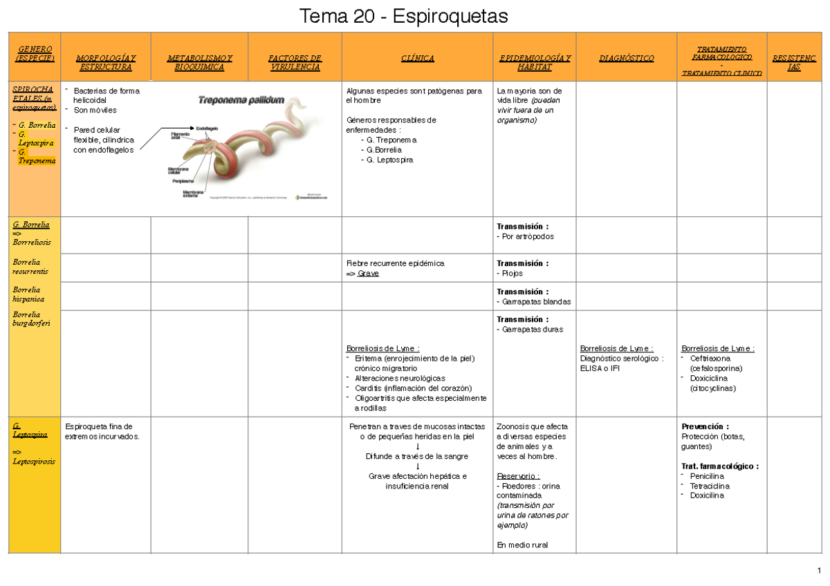 Tabla Tema 20 Espiroquetas Microbiology 0230908 Uax Studocu