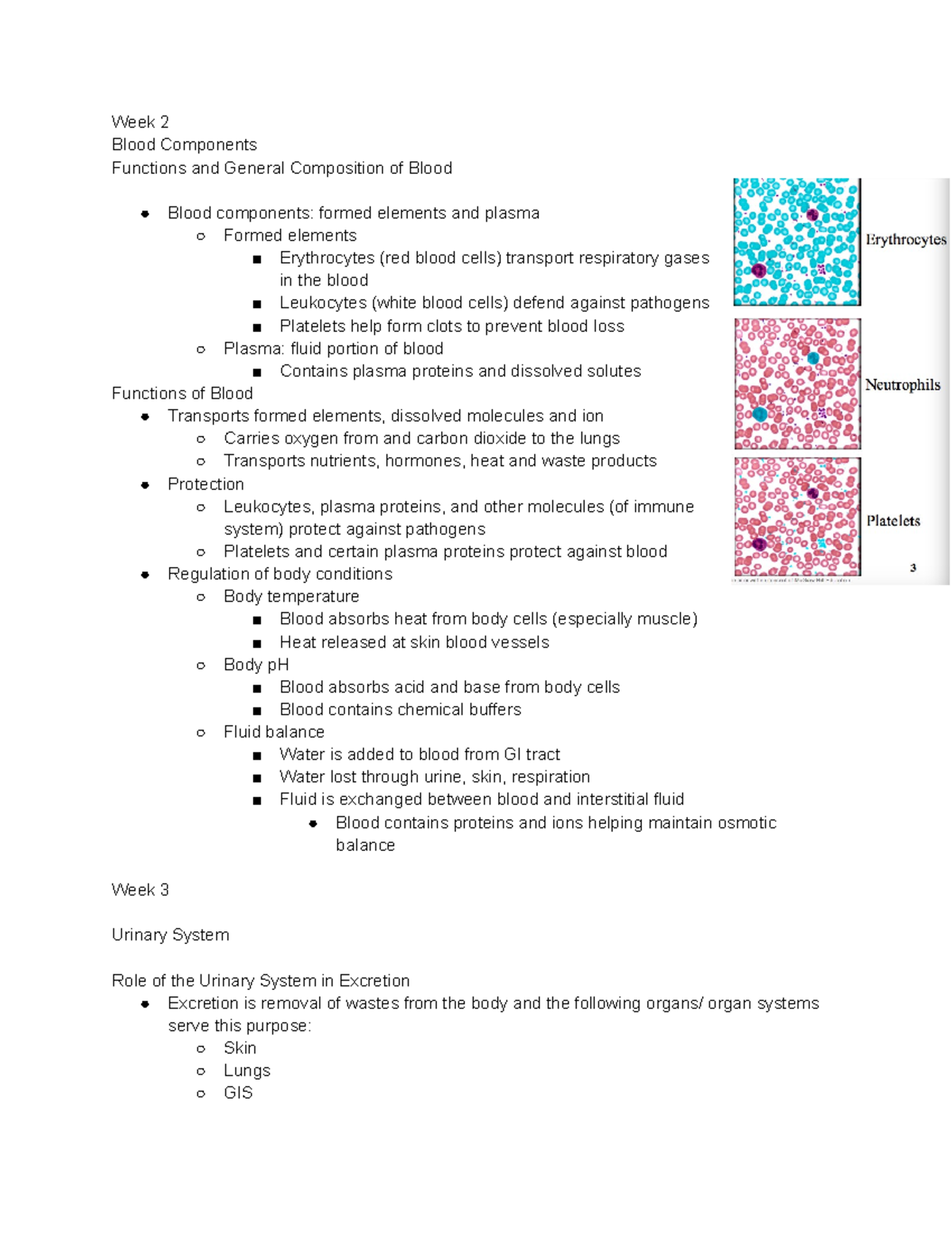 2 HH - Notes from lecture slides - Week 2 Blood Components Functions ...
