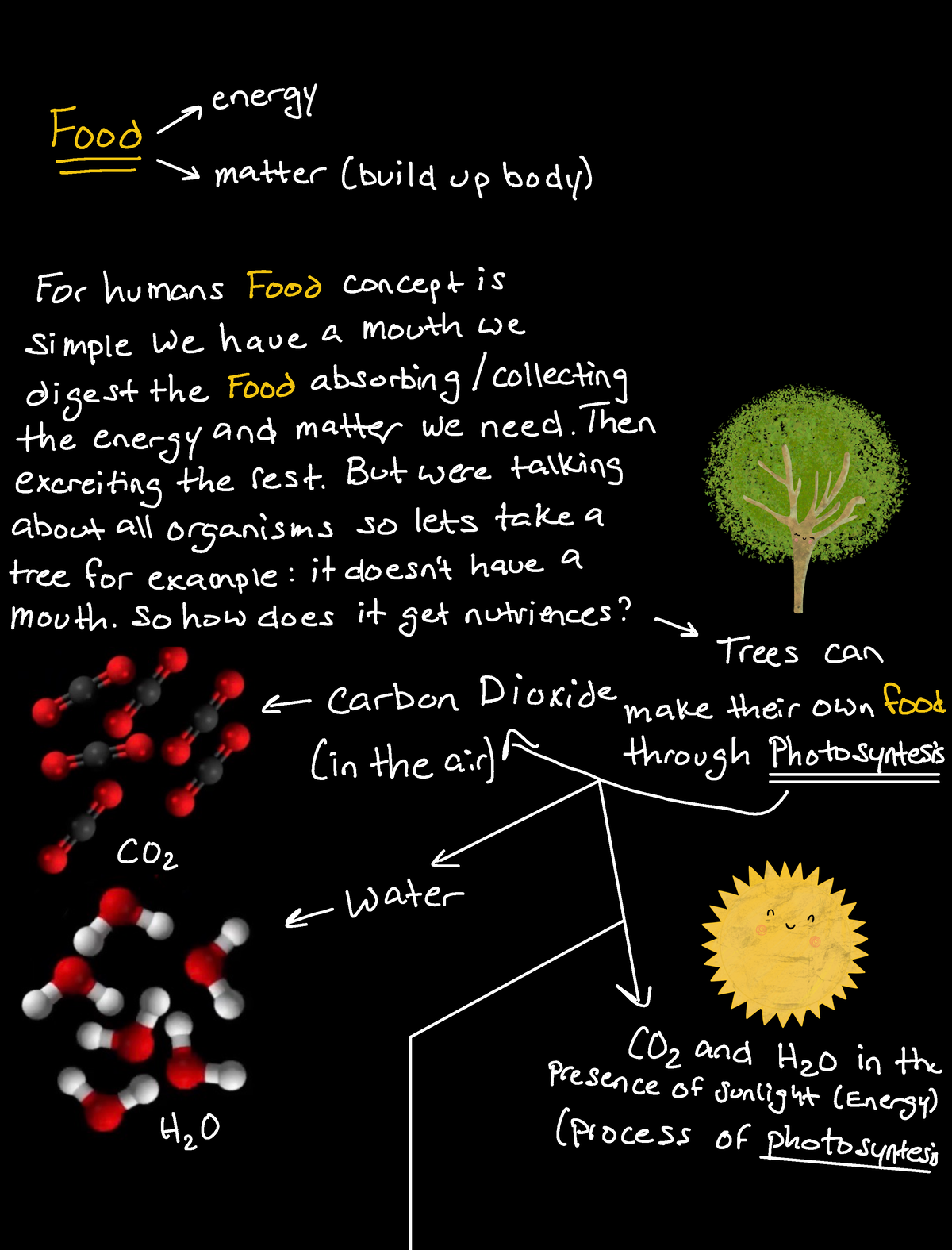 Formation of Biomolecules a energy FOI o matter build up body For