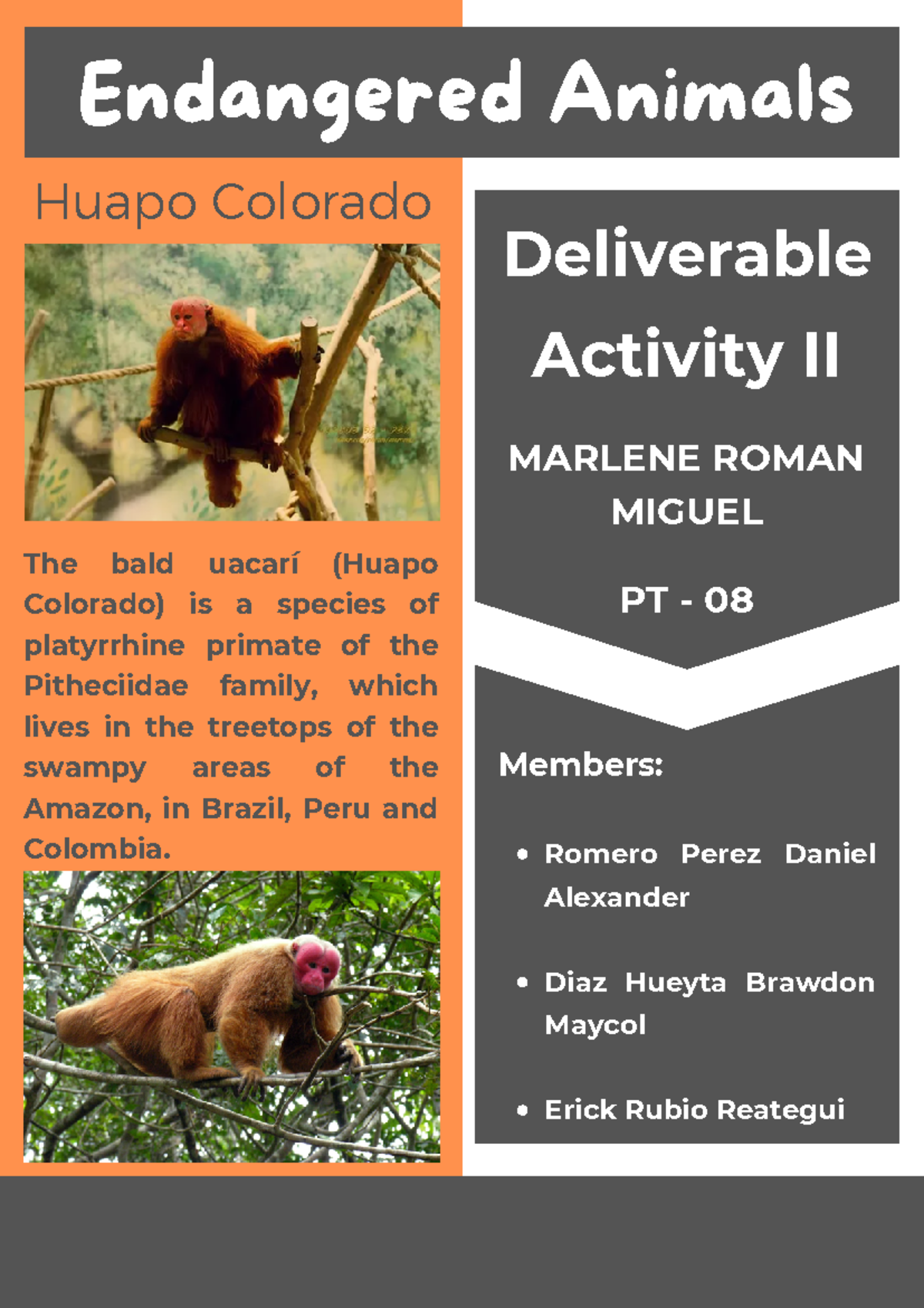 Endangered animals - English - 2 - Endangered Animals PT - 08 Members ...