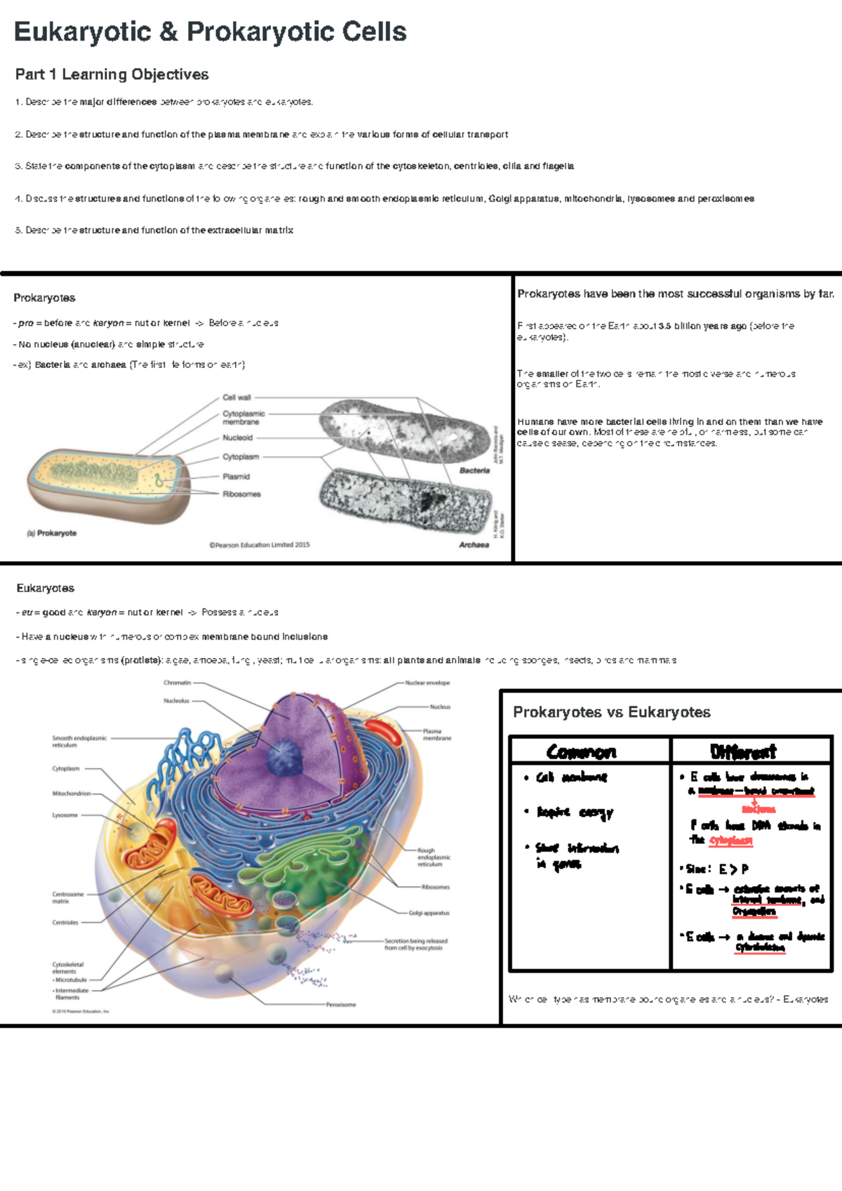 1014MSC - Topic 1 Structure & Function of Cells Notes - Part 1 Learning ...