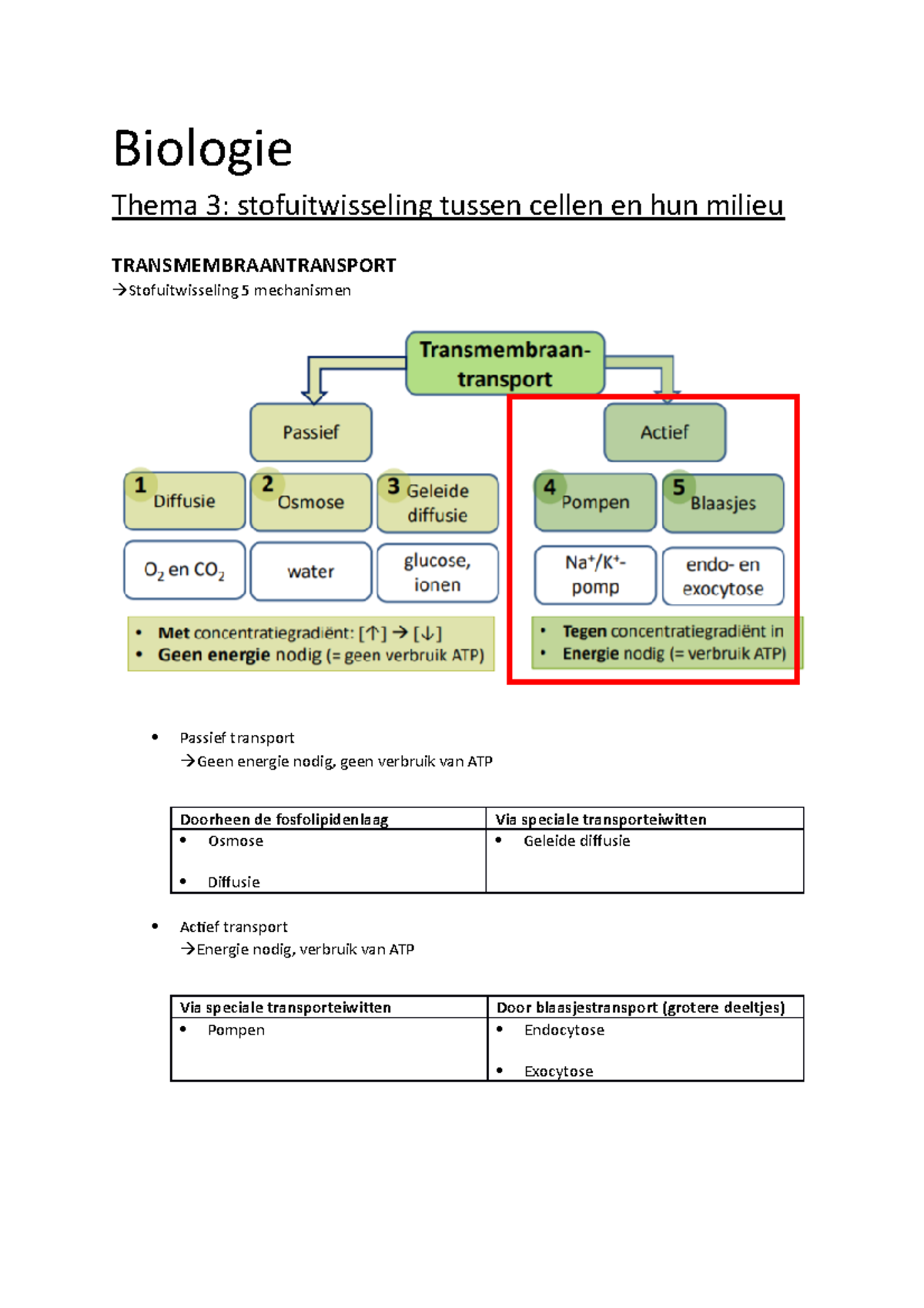 Werking Van Enymen - Biologie Thema 3: Stofuitwisseling Tussen Cellen ...