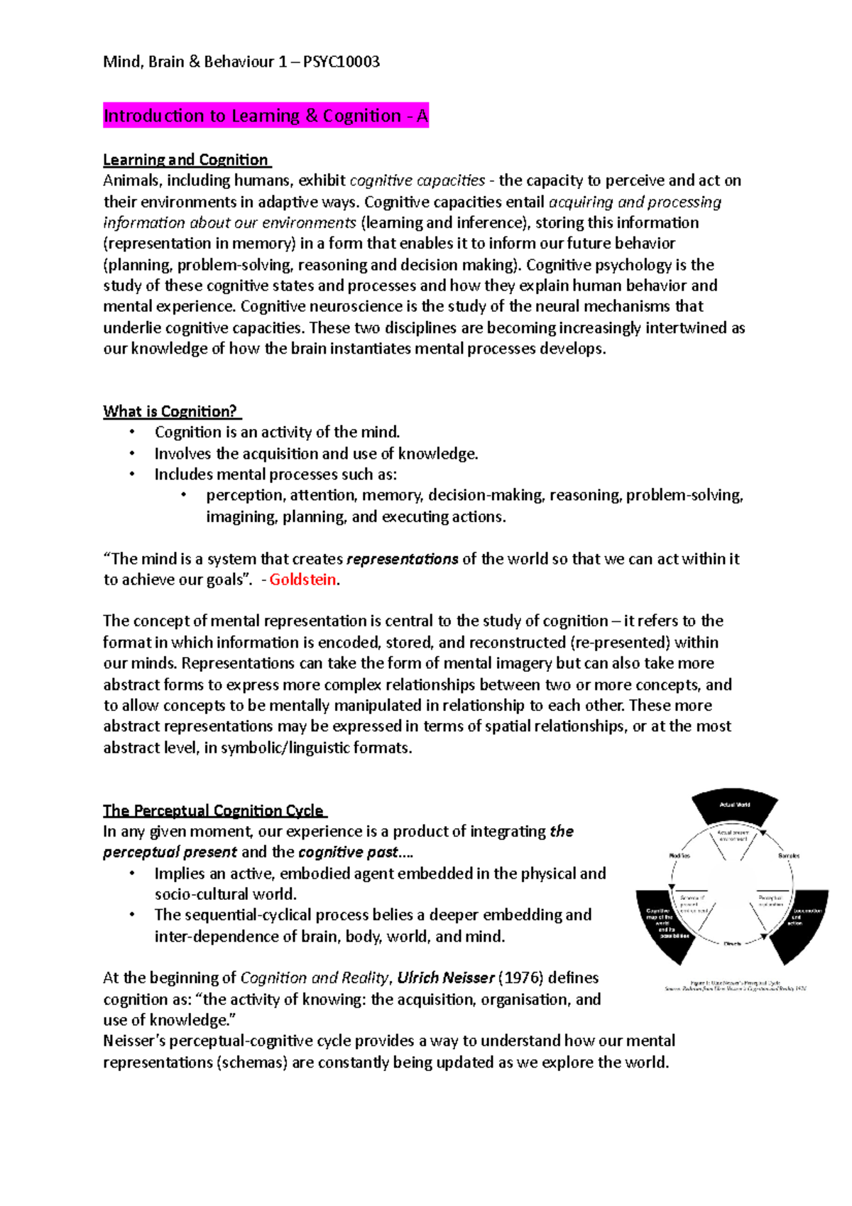 Summary - Learning and Cognition - Introduction to Learning & Cognition ...